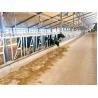 Buy cheap Steel Cattle Sheds Easy Install Prefabricated Cow Farm Building from wholesalers