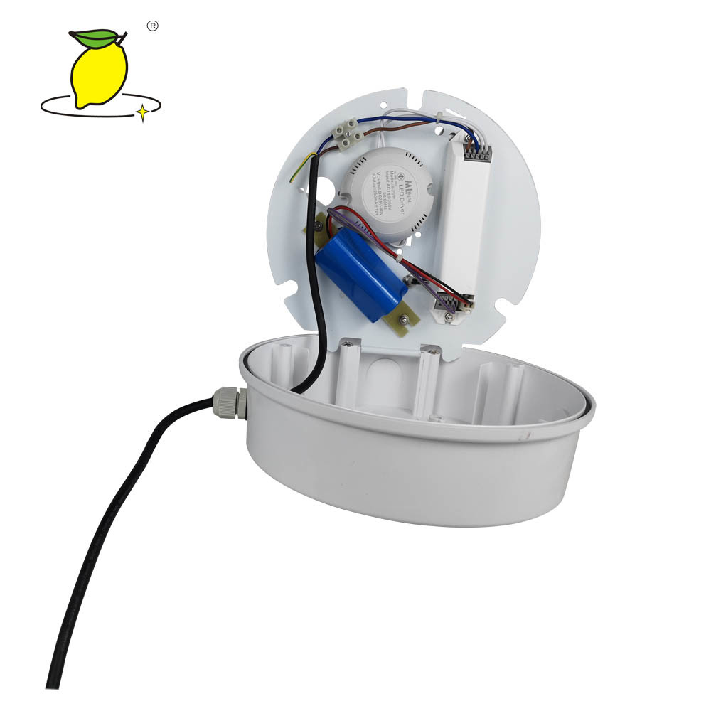 Indoor Ceiling Mounted Emergency Lights , Round Flush Mount Ceiling Light