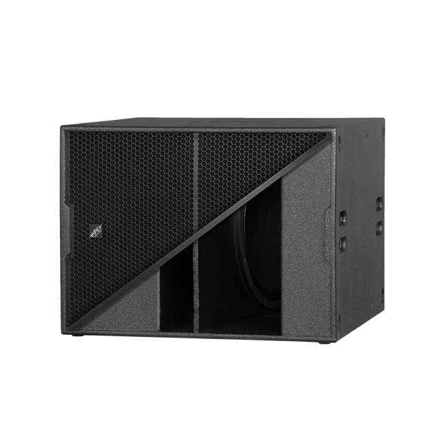ARE Audio Dual 12" Line Array PA System Set Professional Audio System Outdoor Line Array Church Line Array Speaker