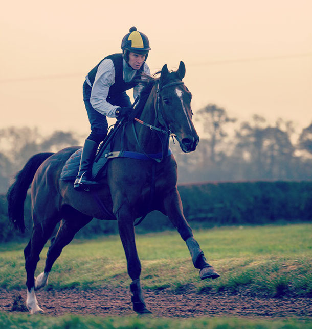 Customized Logo Safety Padded Lightweight Vest for Jockey Comfortable and Protective