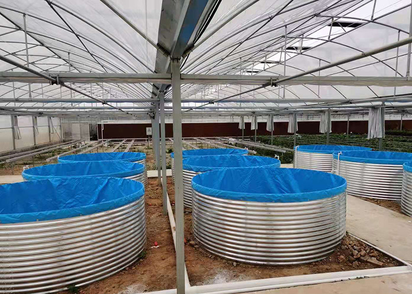 Industrial Indoor Recirculating Aquaculture System 7kg/M³ Shrimp Density 30% Faster Growth