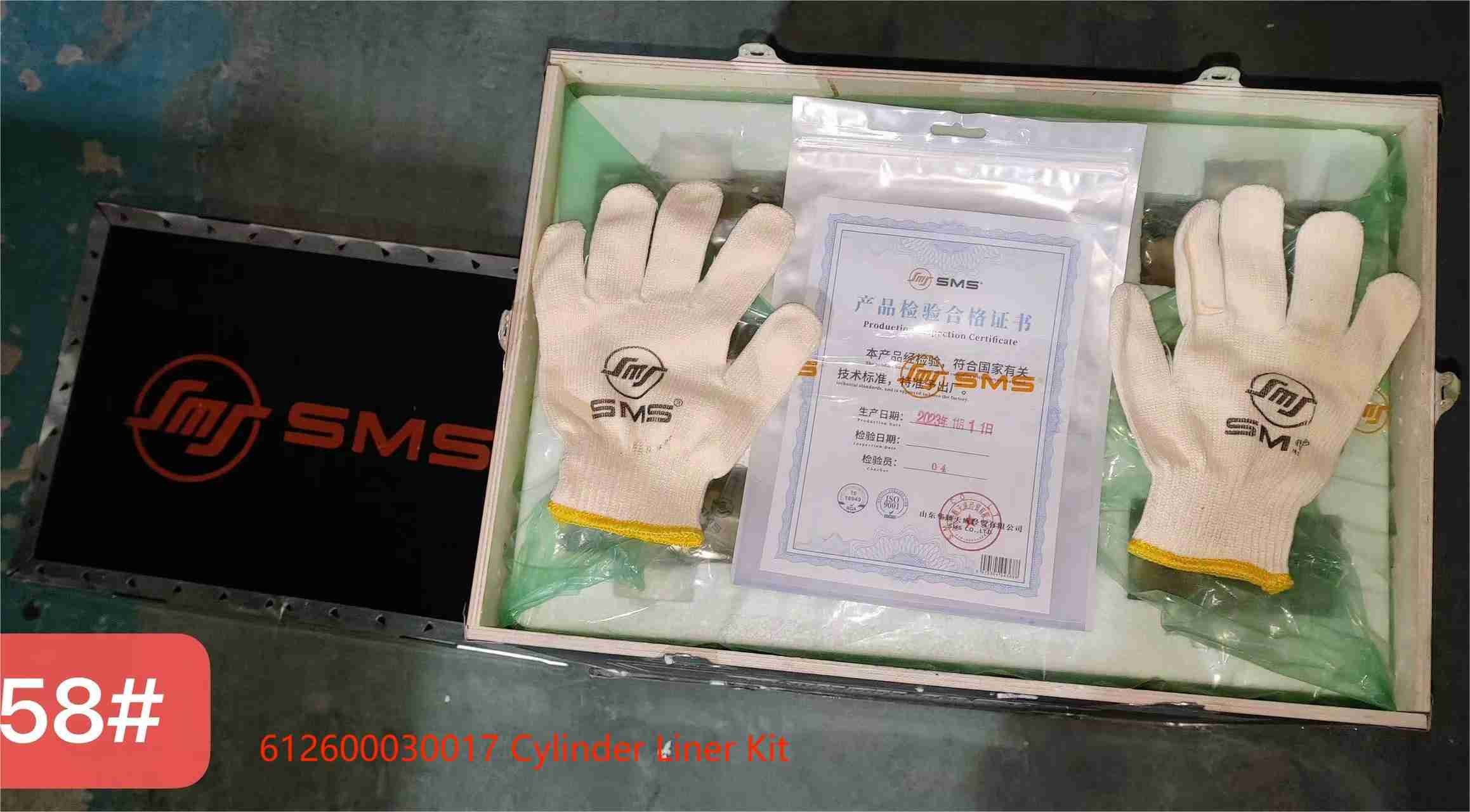 612600030017 Cylinder Liner Piston Ring WD615 WEICHAI Engine Parts Five Supporting