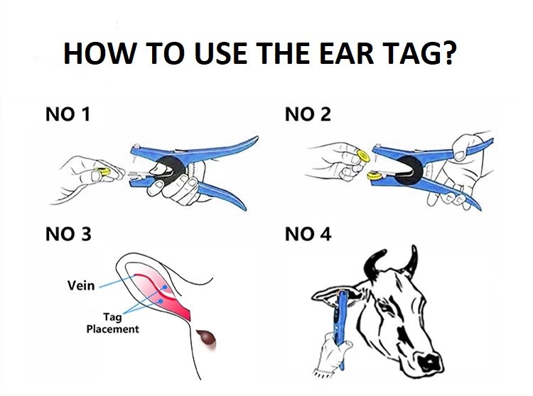 Animal Plastic TPU Livestock Ear Tags Goat 74mm Farm Pig