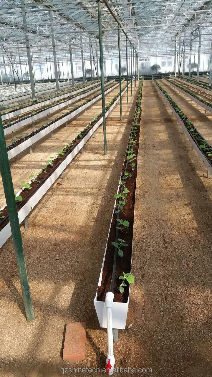 Large Sawtooth Greenhouse Shine Tech Poly Tunnel Tropical Greenhouse With Ventilation
