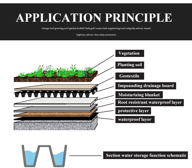 Green Roof Water Storage and Drainage Cell Mat Board for Conservancy in Traditional Design