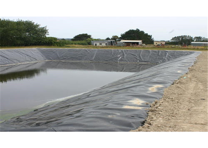 Fish Pond Polyethylene Geomembrane Waterproof Aquaculture Hdpe Impervious