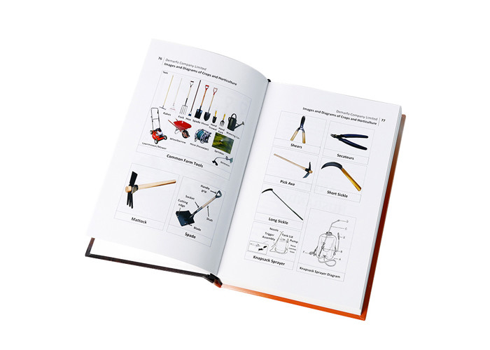 Eco Friendly CMYK Color Cardboard Hardcover Book Printing For Children In Bulk
