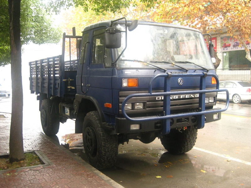 Fuel- 4X4 Off-Road Cargo Truck with 100-200L Fuel Tank and 9200kg Gross Vehicle Weight