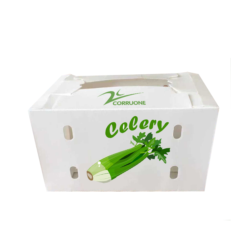 Corn Corflute Box Vegetable Corrugated Boxes Recyclable Custom Size