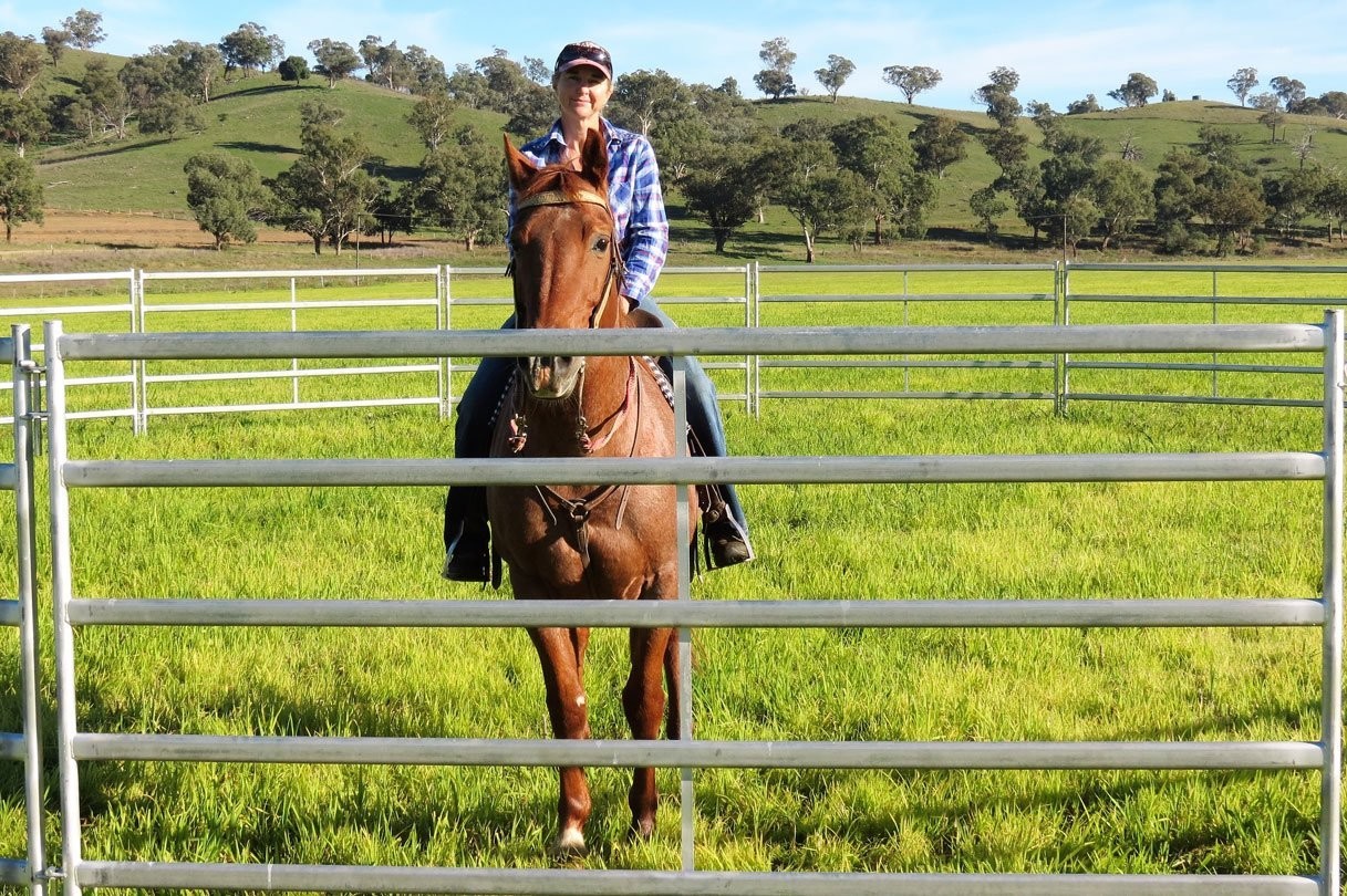 Portable Horse Stall Panels 1.5m Gate. Locking Pins. ". Victoria "