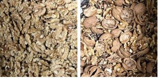 Artificial Intelligent 3.0kw 1120kg Nuts Color Sorter