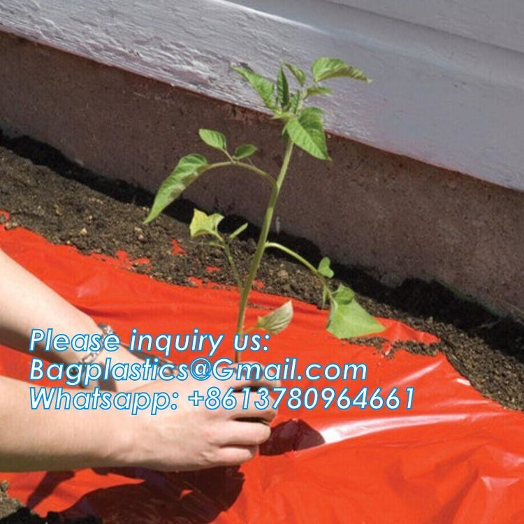 Pe Mulch Film With Holes For Agriculture Perforated Red Plastic Mulch For Peppers Crop Cover For Tomatoes