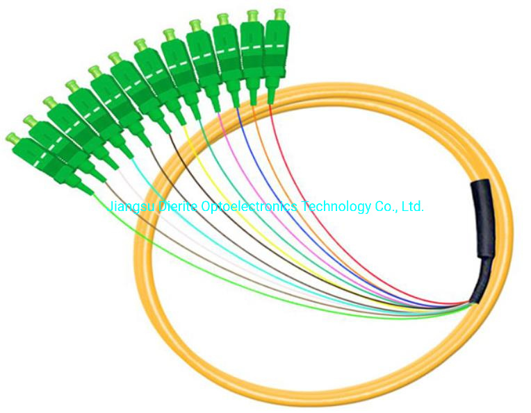 Sc APC Upc 12 Cord Fibers Multimode/Single Mode Optical Fiber Patch Cable Bunch Pigtail for Odfs and Splice Cassettes