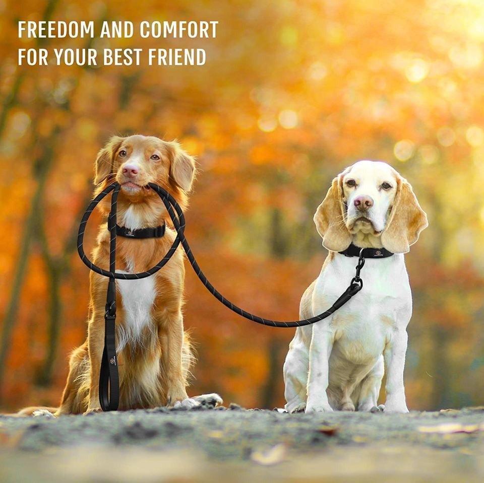 Dog Leash Heavy Duty, Comfortable Padded Handle, Highly Reflective Threads Dog Leash for Large Dogs