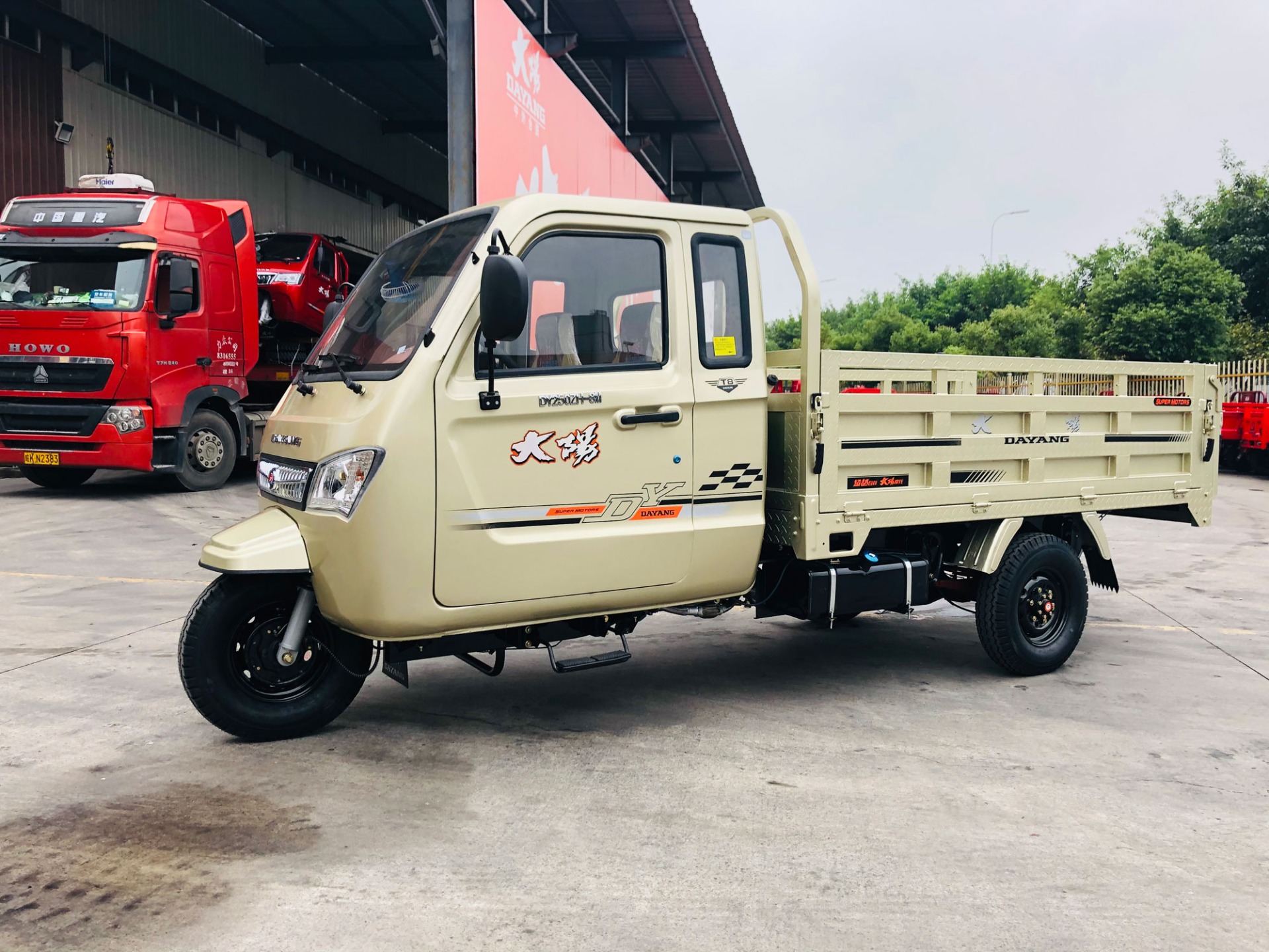 Dayang 3wheels Motorcycle Tricycle with Customized Cargo Box Size 2.4*1.5 and 12V Power