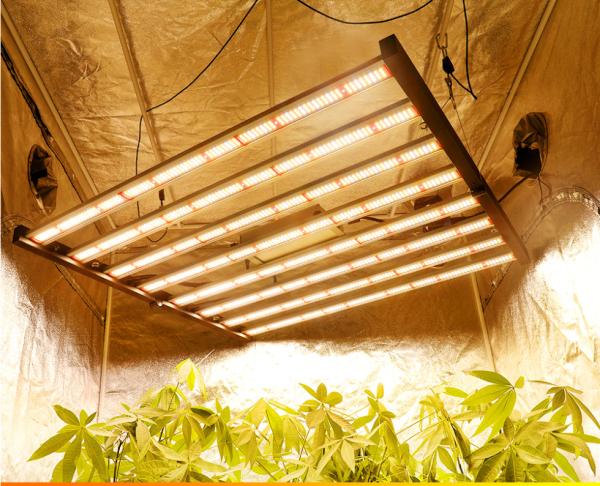 Powerful 640W High Output For Medical Plants Flowering Stage Waterproof Grow