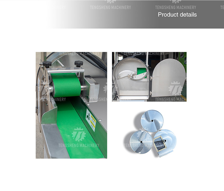 Crumbling Homogenization Industrial Fruit Slicing Machine Vegetable Papaya Tengsheng