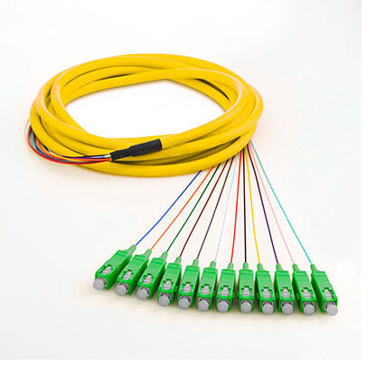 SM SX 0.9mm Fiber Optic Jumper Cables 12 Core With Fan Out Type , High Temperture Stability