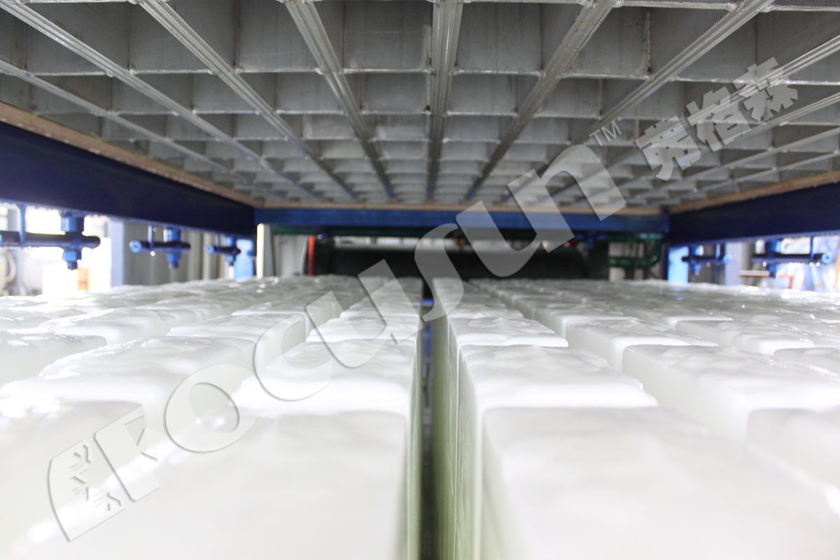 6-tonne Capacity Ice Block Machine for Bar or Block Ice in Sur Commande Dimensions