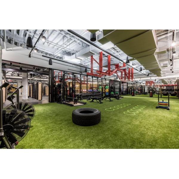 Environmental Protection Gym Artificial Turf Artificial Grass Gym Flooring