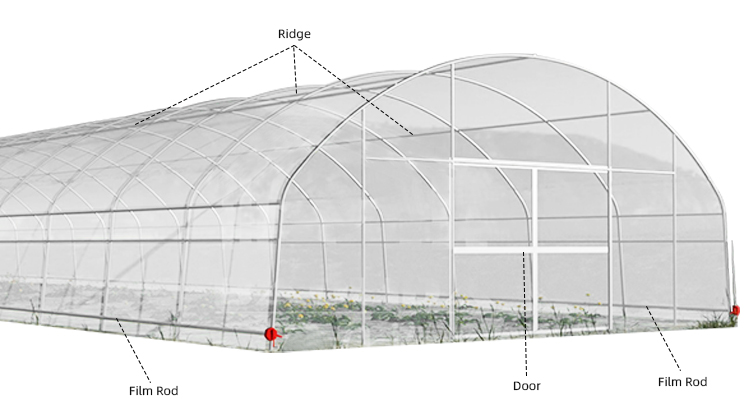 Galvanized Steel Pipe Frame Tunnel Greenhouse for Vegetables and Fruits