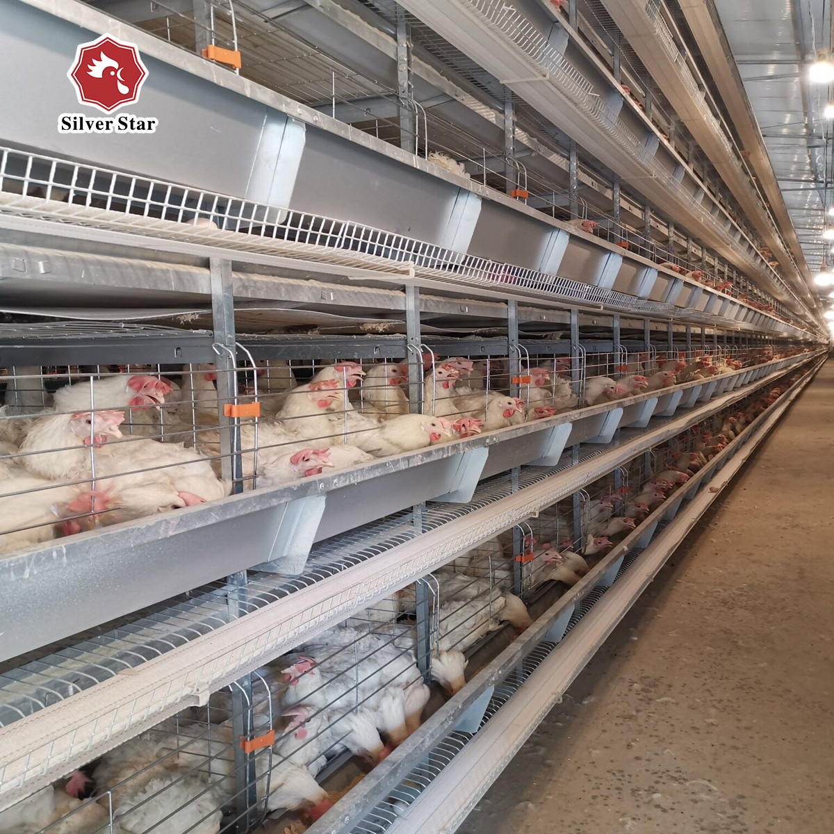 Hot Galvanized 4 Tiers 72 Birds Battery Chicken Cage Newest Design