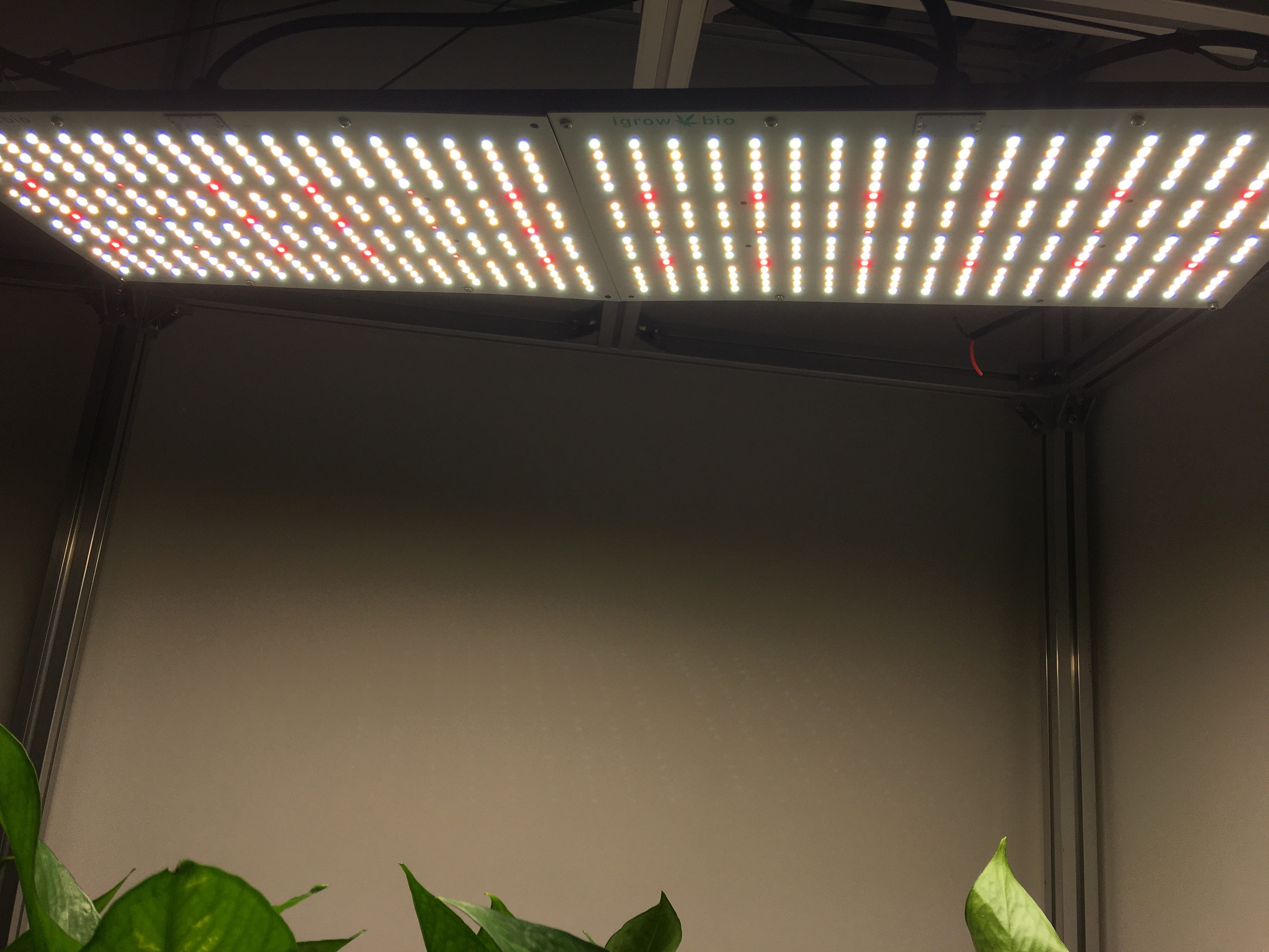 WiFi Controlled 10000lm AC100V LED Herb Grow Light