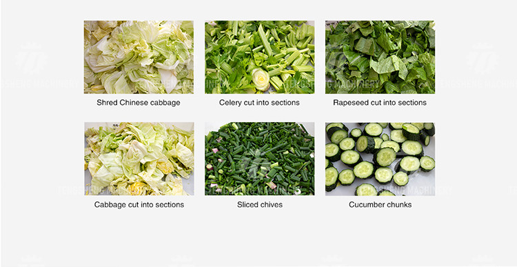 Crumbling Homogenization Industrial Fruit Slicing Machine Vegetable Papaya Tengsheng