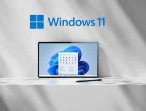 Buy cheap Genuine Microsoft Windows 11 Pro 64 Bit / Windows 10 Product Key COA product