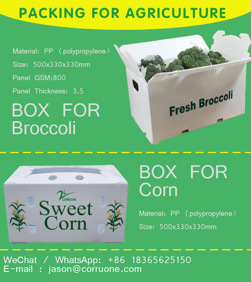 Customizable Vegetable Corrugated Boxes for Safe and Transportation