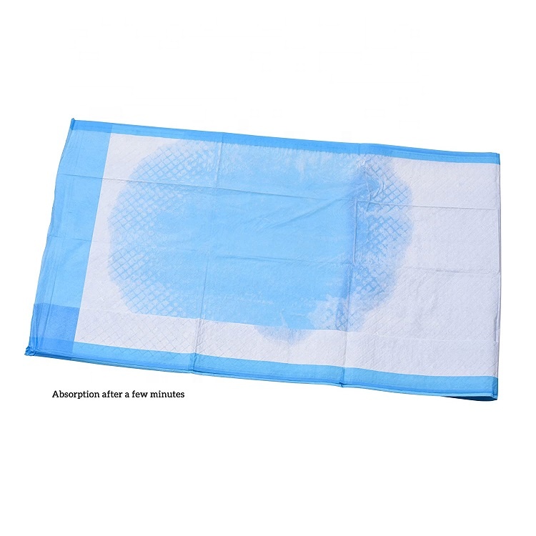 Customized Pet Potty Training Pads Core Incontinence Pet Pad for Training Dogs