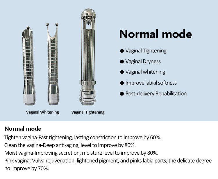 CO2 Fractional Laser Machine With Two Years Gurantee Time From Software Department