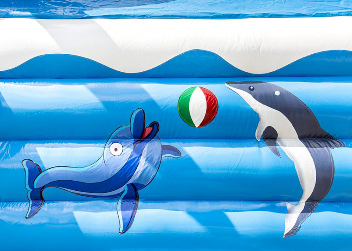 Customize Business 1.6ft Blue Dolphin Inflatable Jumping Castle For Kids Double - Triple Stitch