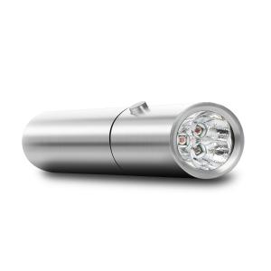 China Portable 850nm Red Light Therapy Torch 660nm 630nm LED Light Therapy Pen on sale