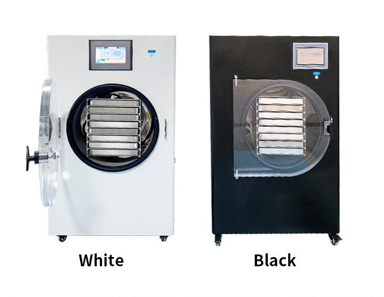Rapid Cooling Vacuum Freeze Dryer Food Candy Pharmaceutica