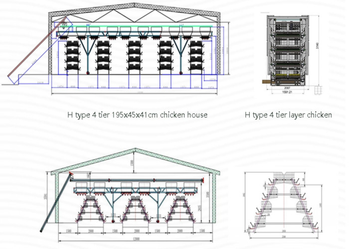 A Frame Commercial Poultry Equipment Poultry Shed Customized Size