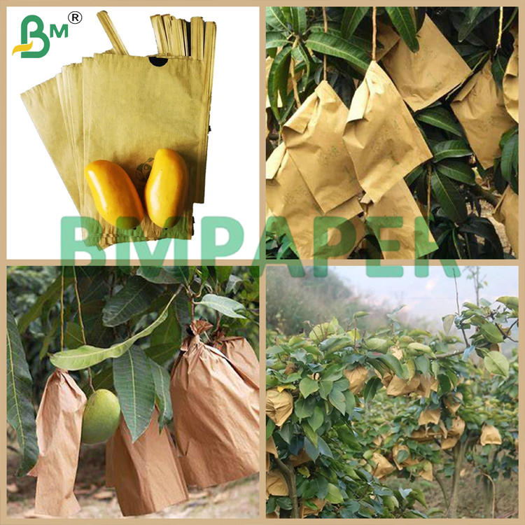 Mango Growing Protection Bag Paper 30gsm Black Paper 55gsm Outer Brown Paper