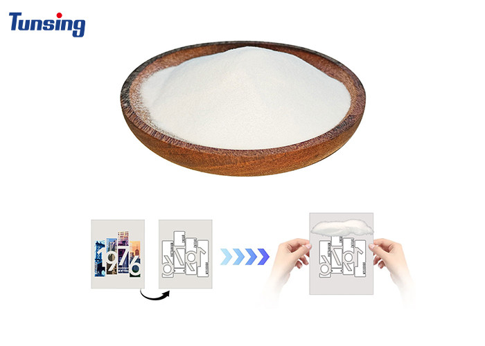 1kg / 5kg Heat Transfer Adhesive Powder for DTF Heat Transfer Printing