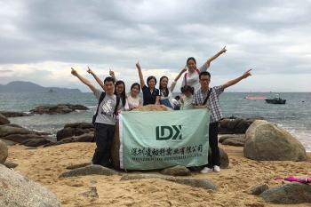 Shenzhen LDK Industrial Co., Ltd.