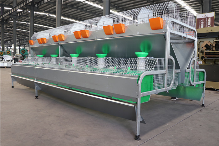 2400 * 2000 * 1500mm Farm Rabbit Cage Q235 Steel Wire / Plastic Material