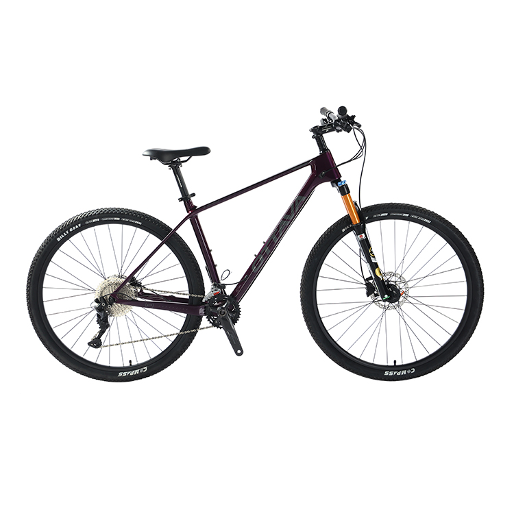 29" Carbon Fiber Mountain Bike with Shimano 22s deore parts Customizable