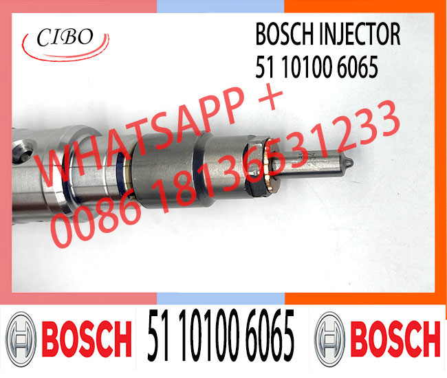 China Made New 0445120098 diesel auto fuel injection 0 445 120 098 for 120 # CRIN2-16 51 10100 6065 Diesel Engine