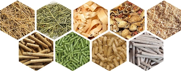 132KW 2T/h automatically lubrication hard wood biomass energy wood pellet press machine