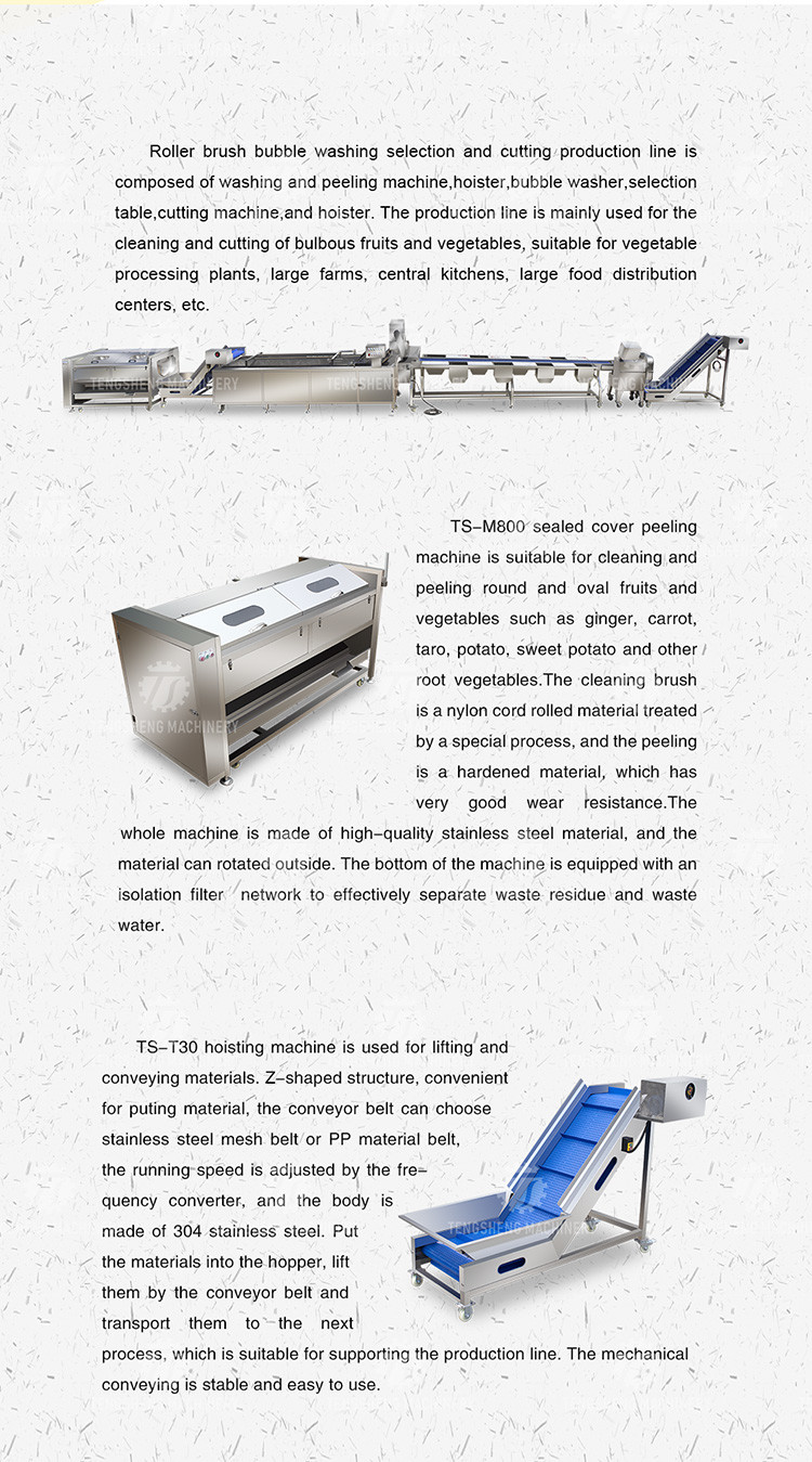 Vegetable Hair Roller Bubble Washing Selection Cutting Machine Production Line