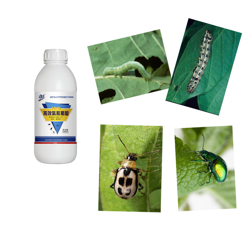 Strong Toxicity Fruit Tree Pesticides 10% Beta Cypermethrin Valerate SC Controls Lepidopteran Pests