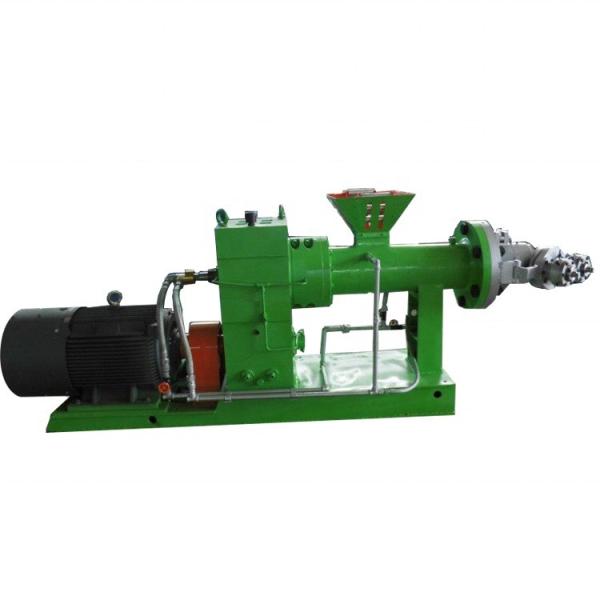 125 rpm Screw Speed Rubber Extruder for Wire Sealing Strips Manufacturing