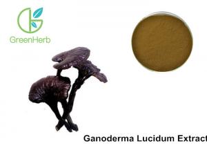 Buy cheap Ganoderma Lucidum Extract , Reishi Mushroom Extract Powder Non - Irradiated product