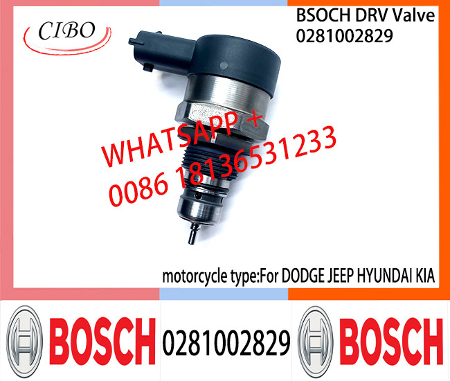 BOSCH DRV Valve 0281002829 Control Valve 0281002829 For DODGE JEEP HYUNDAI KIA