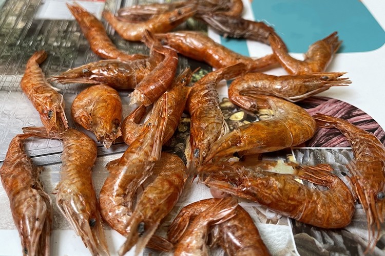 Fruit Vegetables Shrimp Commercial Food Drying Machine