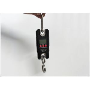 Buy cheap Multi Units Conversion Electronic Crane Scale With Overload Protective System product